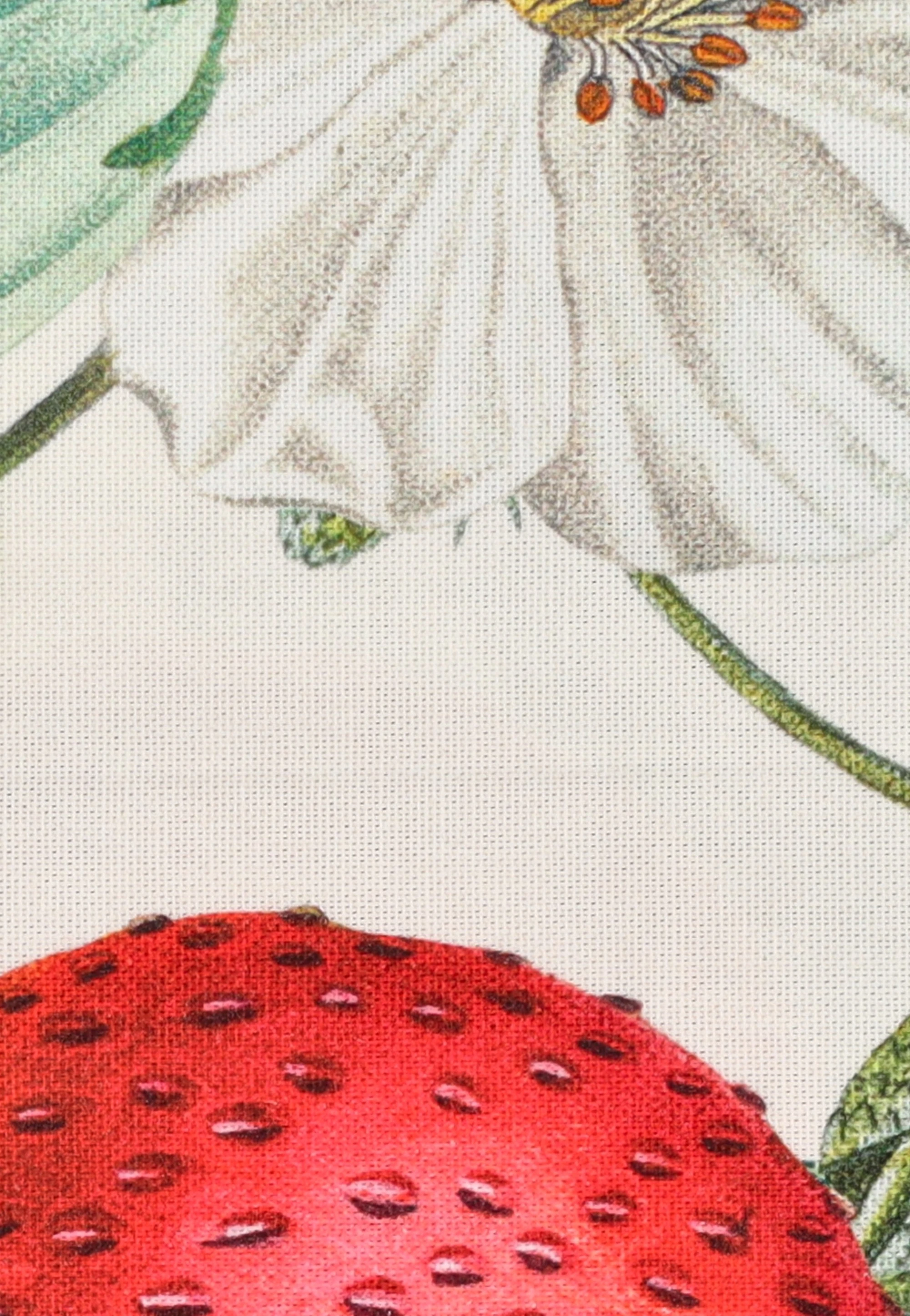 dress-image