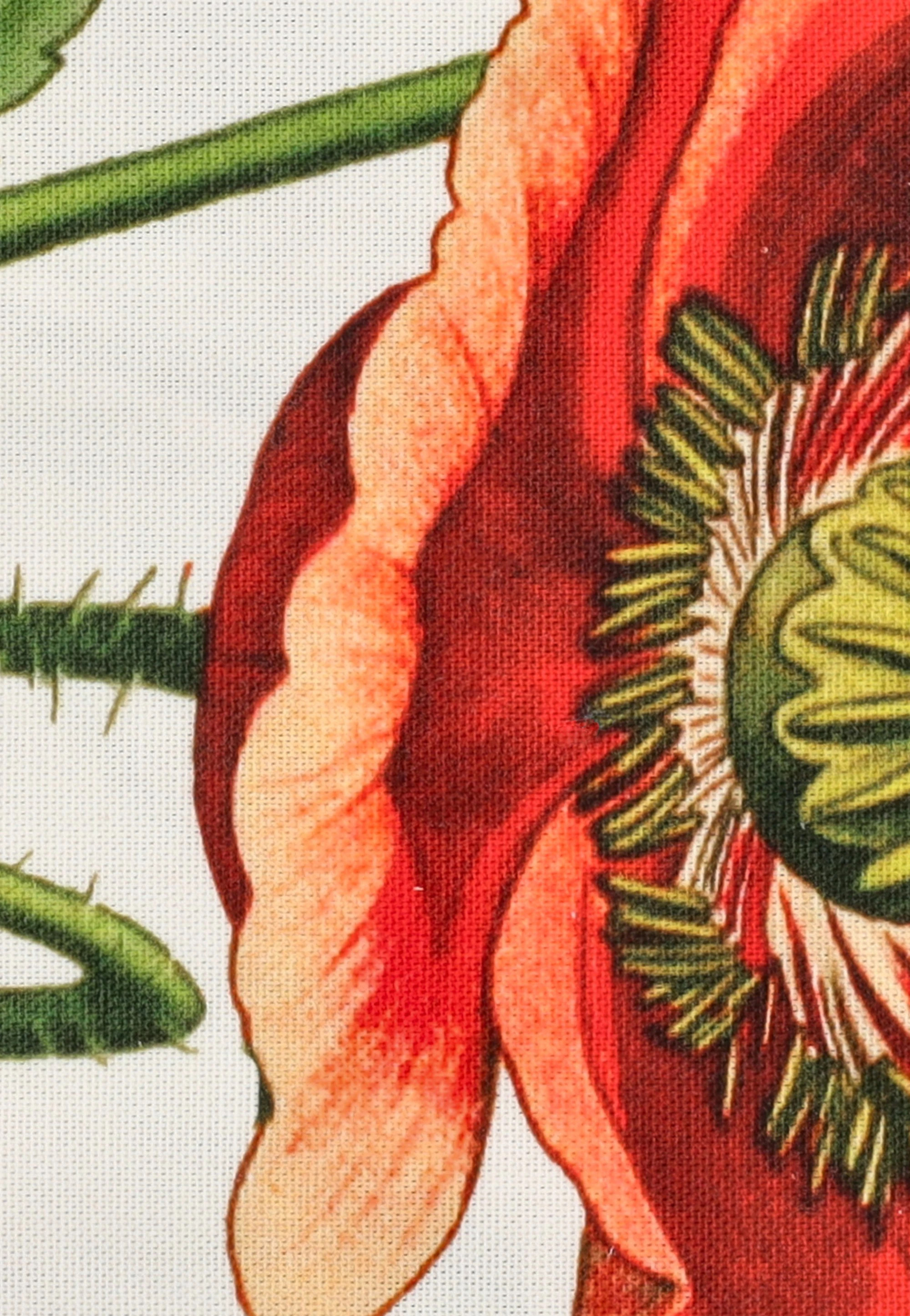 dress-image