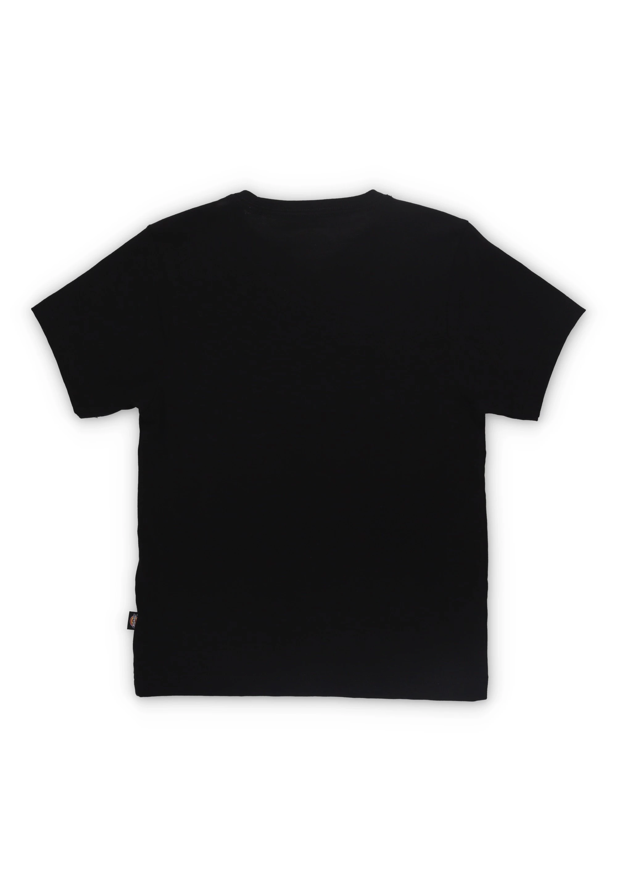 immagine carosello