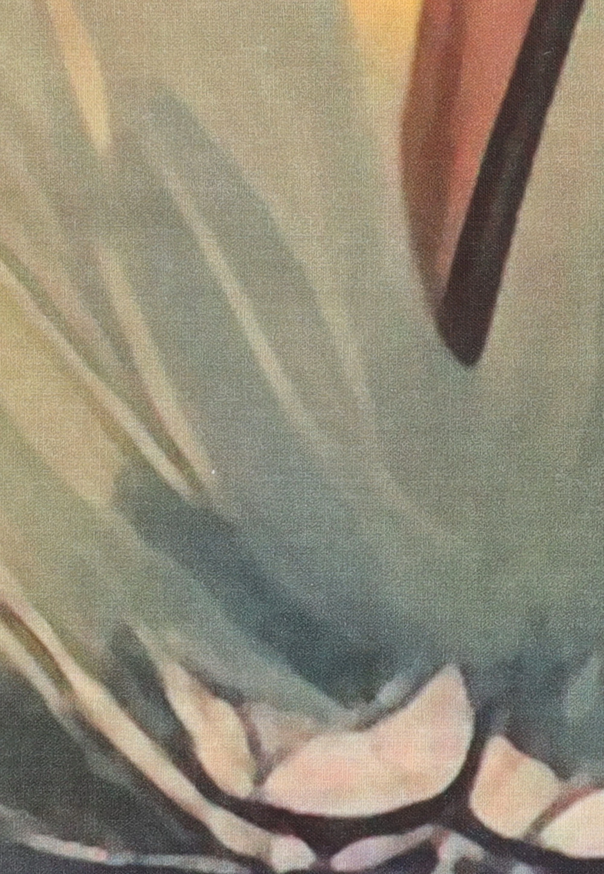 dress-image