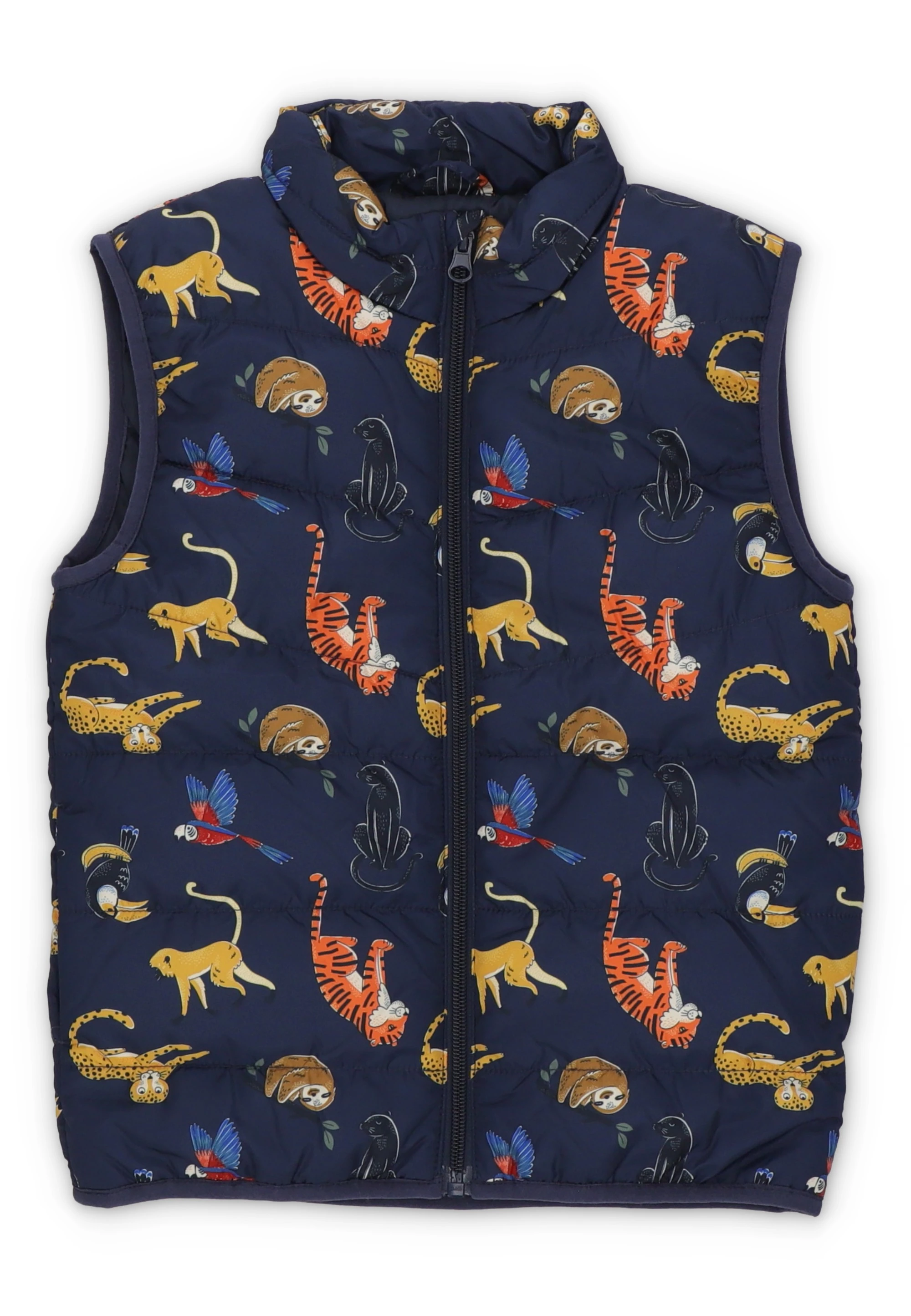 dress-image