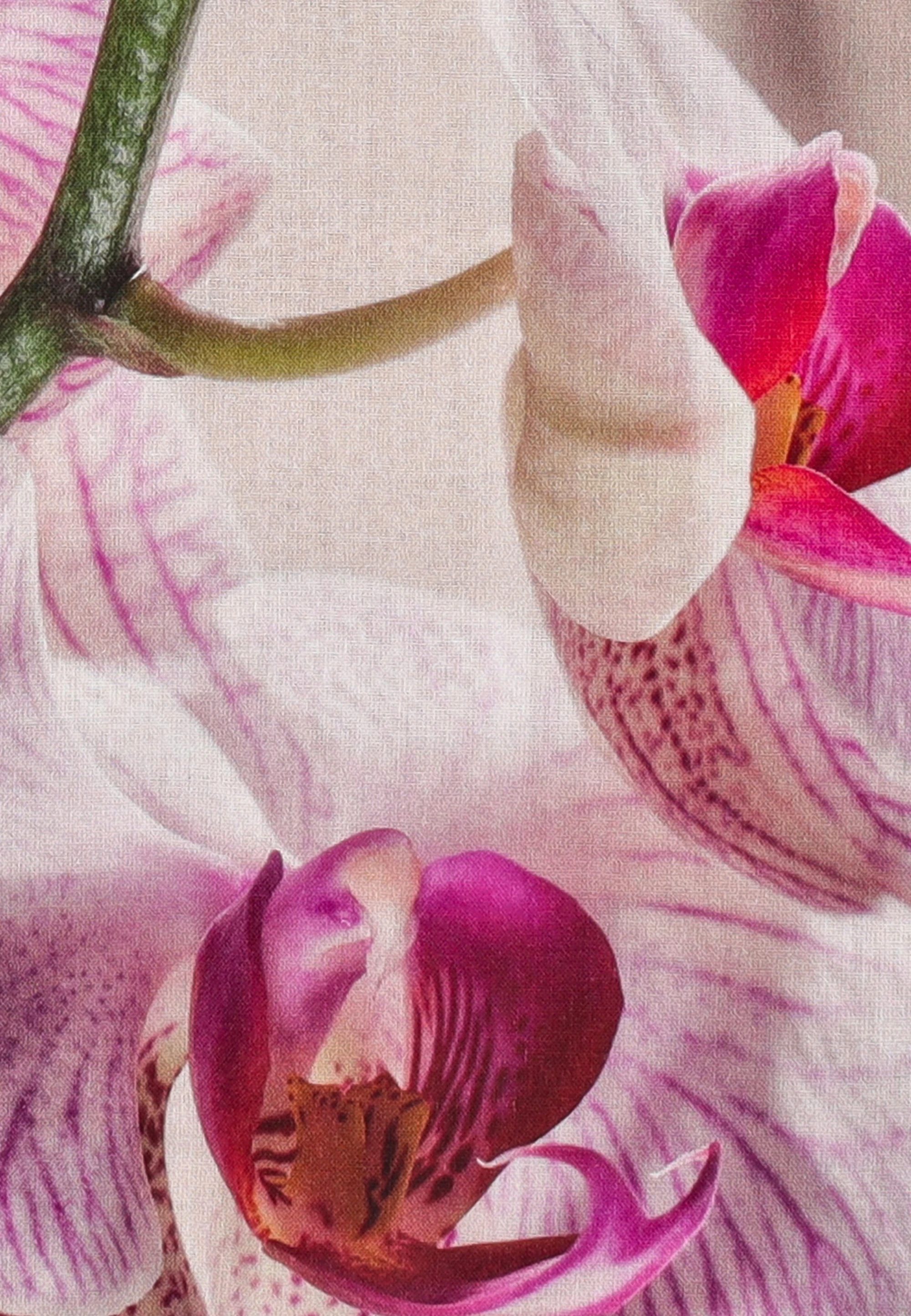 dress-image