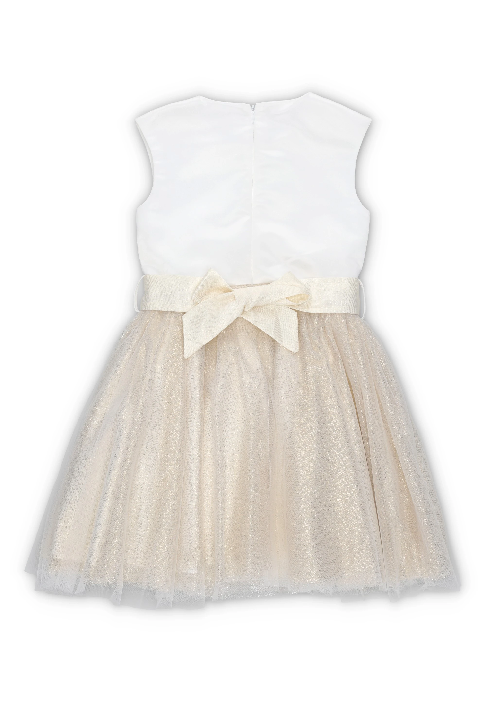 dress-image
